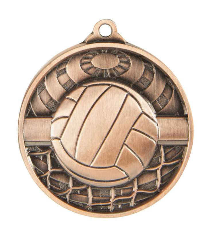 Medalla mundial de voleibol