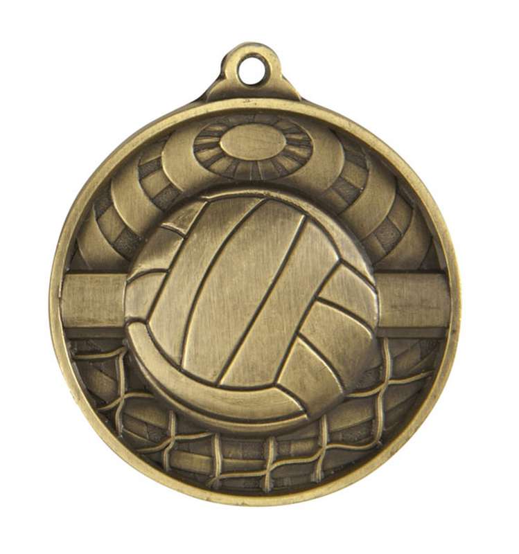 Medalla mundial de voleibol