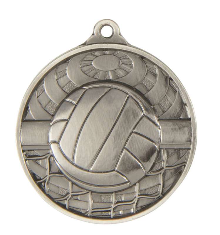 Medalla mundial de voleibol
