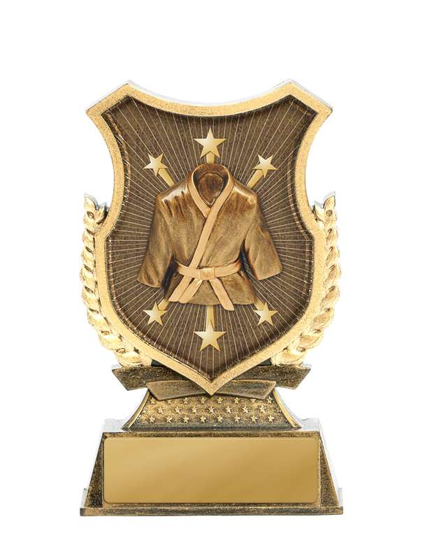 Escudo de pie-artes marciales