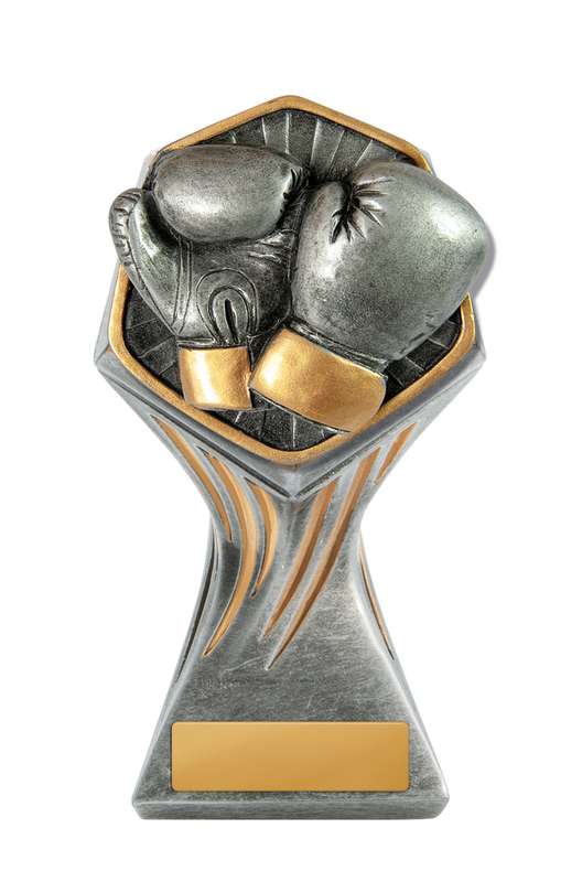 Gladiator Tower-Boxing