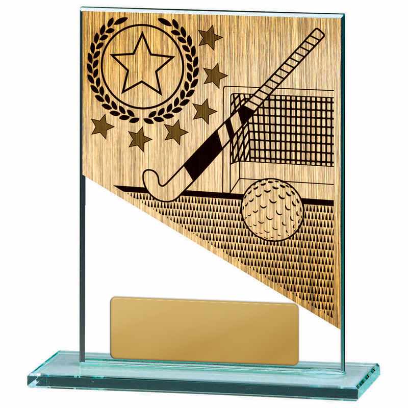 Tema de hockey sobre vidrio