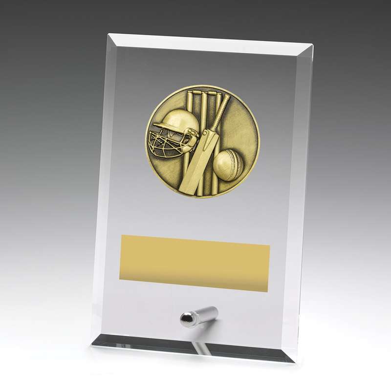 Placas de vidrio – Cricket