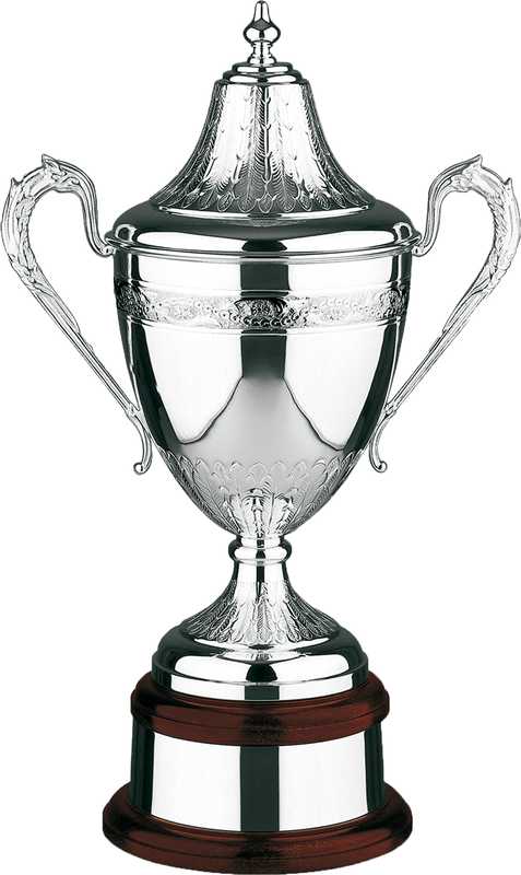 Copa Riviera bañada en plata bañada en plata repujada a mano