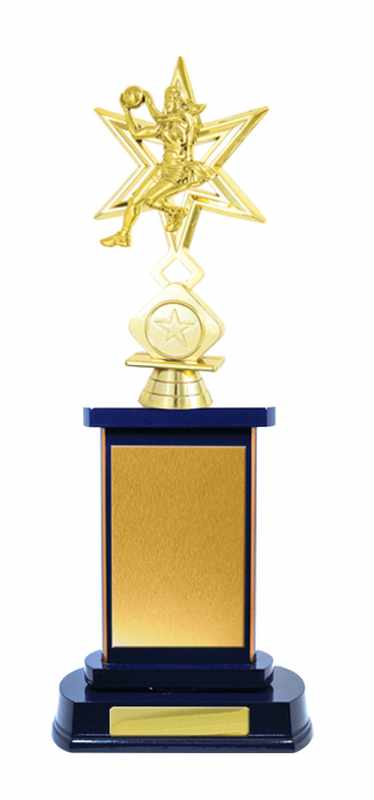 Netball de construcción en madera