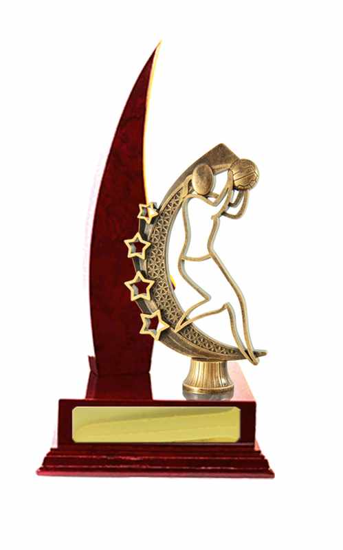 Netball de construcción en madera