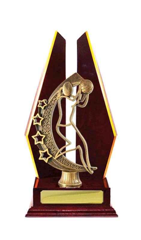 Netball de construcción en madera