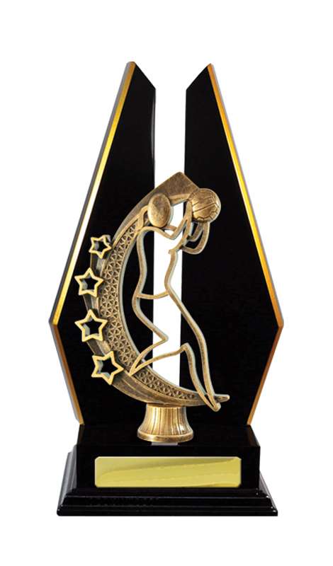 Netball de construcción en madera