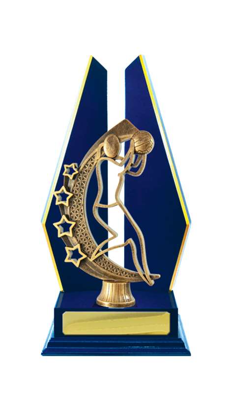 Netball de construcción en madera