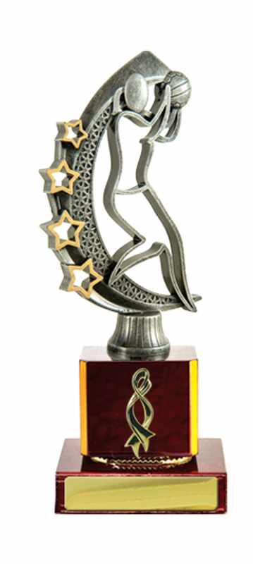 Netball de construcción en madera