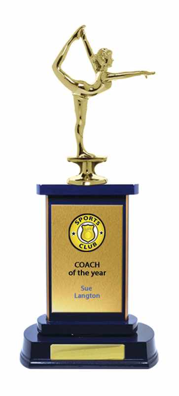 Gimnasia de construcción en madera