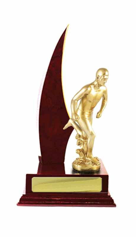 Acumulación de madera Salvavidas