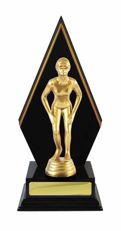 Acumulación de madera Natación