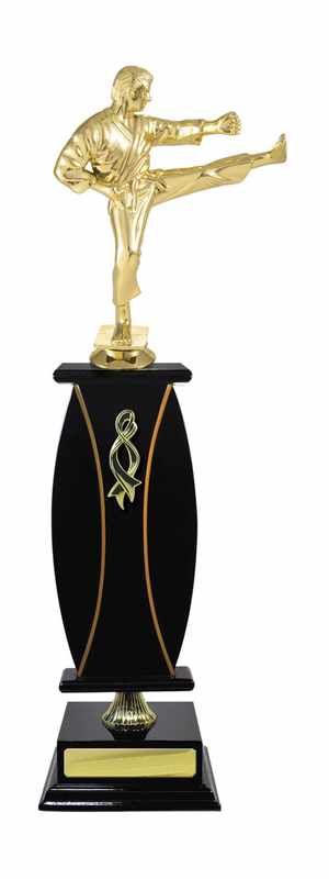 Artes Marciales Timber Buildup