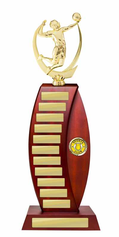 Voleibol de construcción en madera