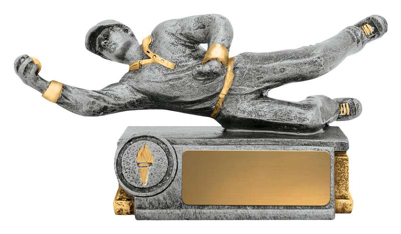 Buceador de críquet