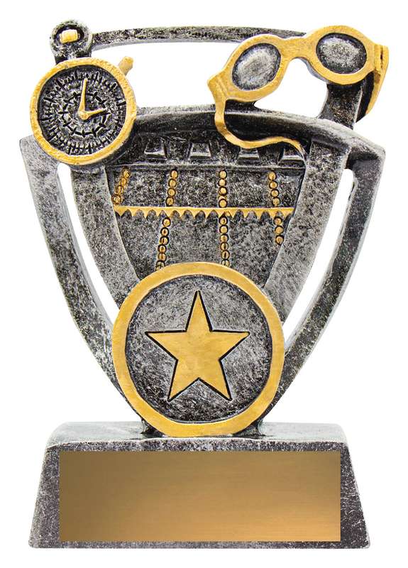 Tema de natación económico