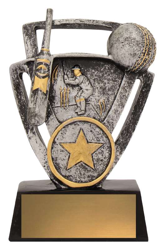 Presupuesto de críquet