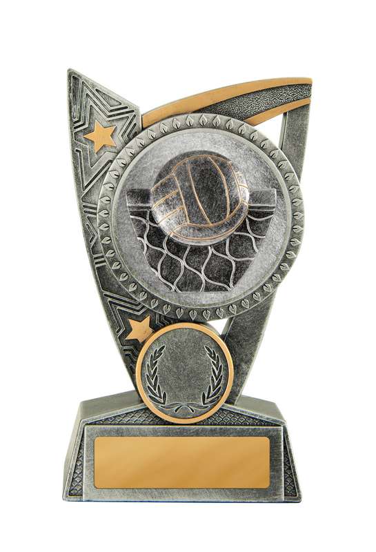 Voleibol de pie Challenger