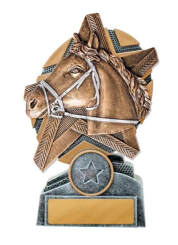 Caballo de pie Starburst