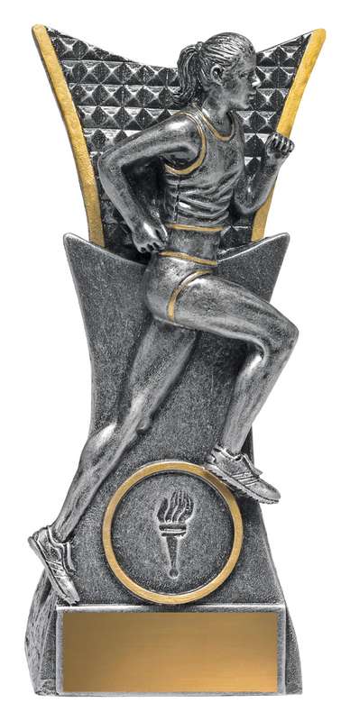 Seguir a Vanguardia Femenina