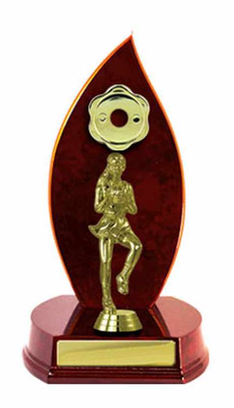 Netball de construcción en madera