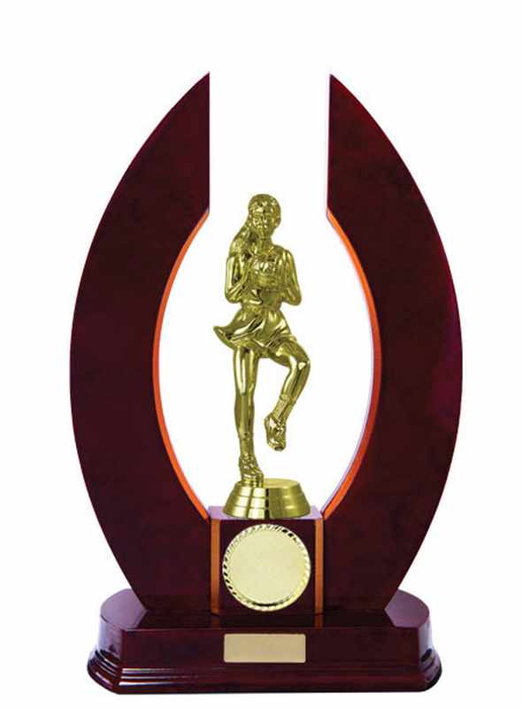 Netball de construcción en madera