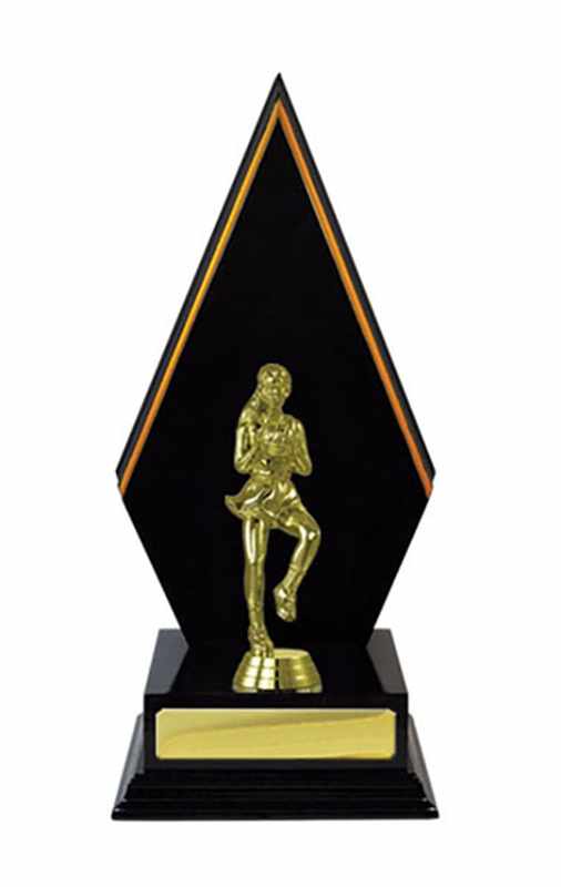 Netball de construcción en madera