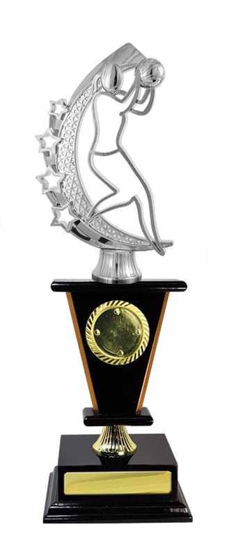 Netball de construcción en madera