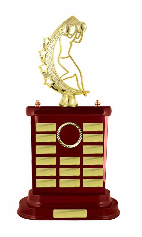 Netball de construcción en madera