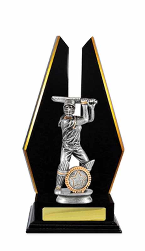 Acumulación de madera Grillo Hembra