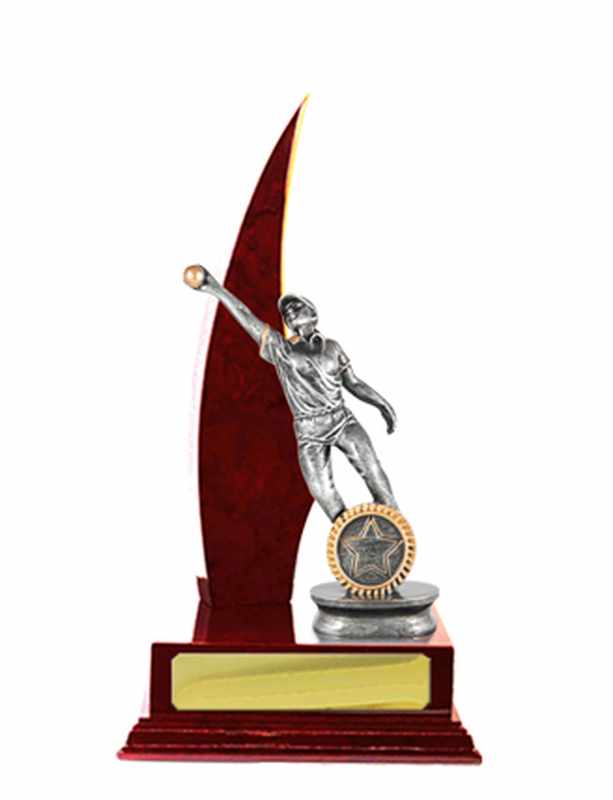 Acumulación de madera Grillo Hembra