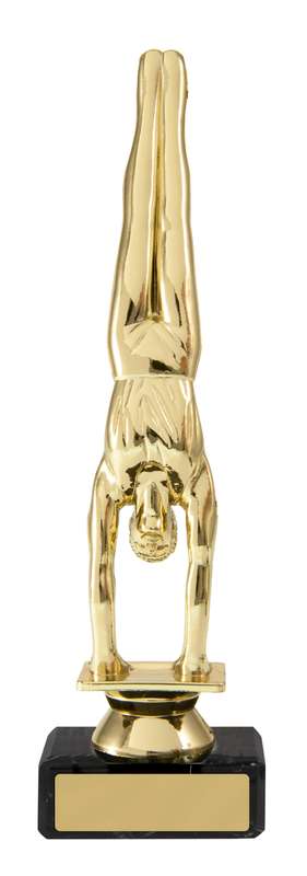 Gimnasio Masculino en Base