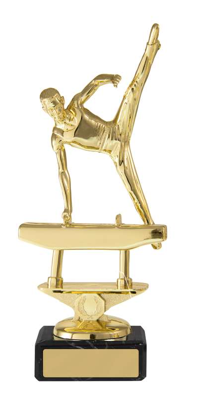 Gimnasio Masculino en Base