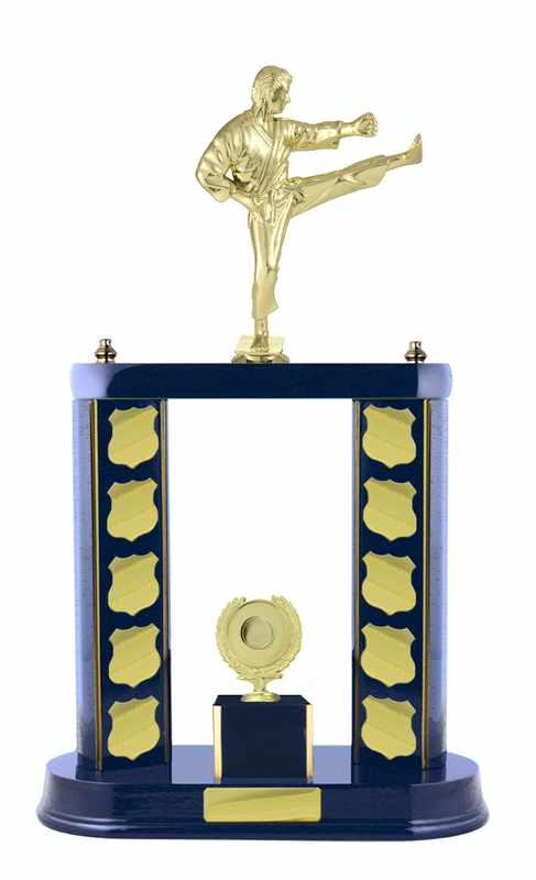 Artes Marciales Timber Buildup