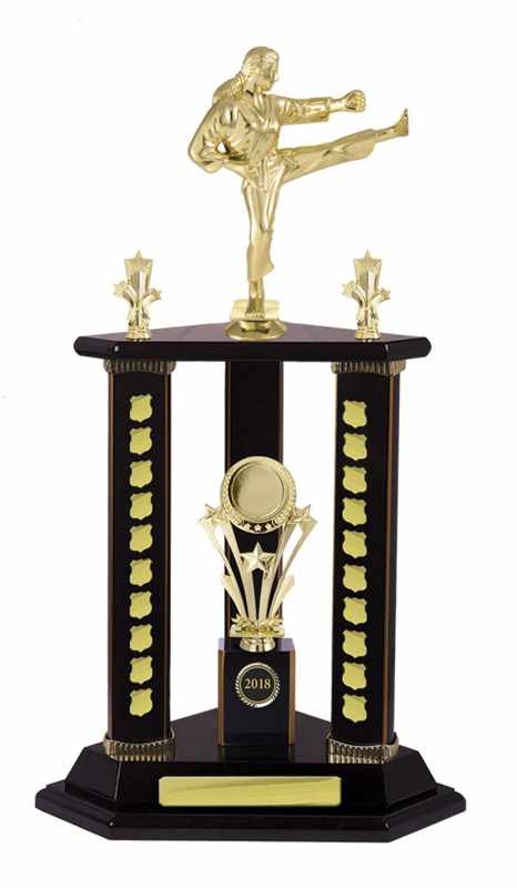 Artes Marciales Timber Buildup