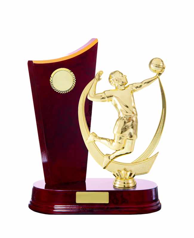 Voleibol de construcción en madera