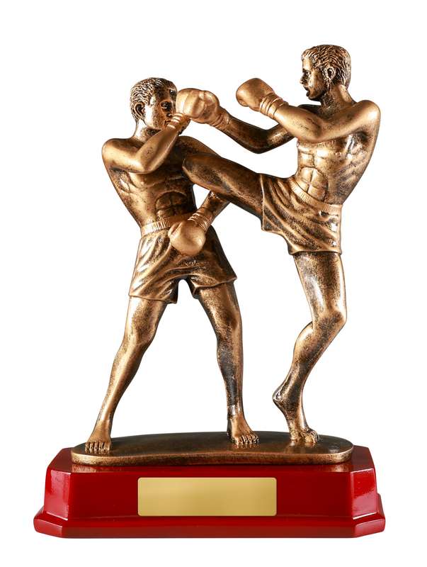 Boxeo de doble patada